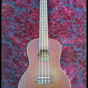 Ukulele by Sunlite